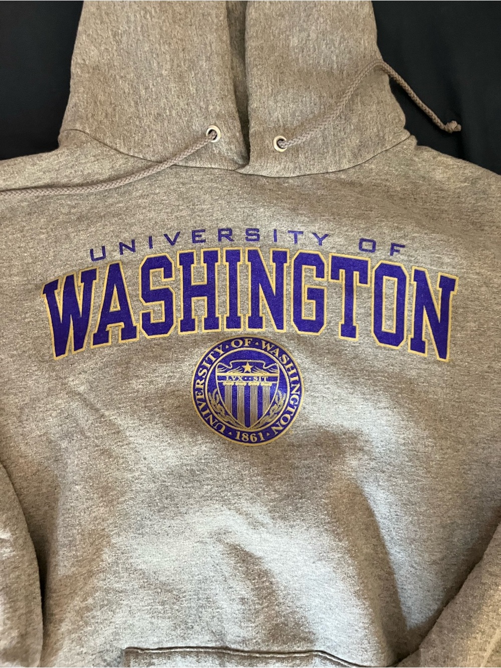 University of Washington Champion - UW Hoodie
